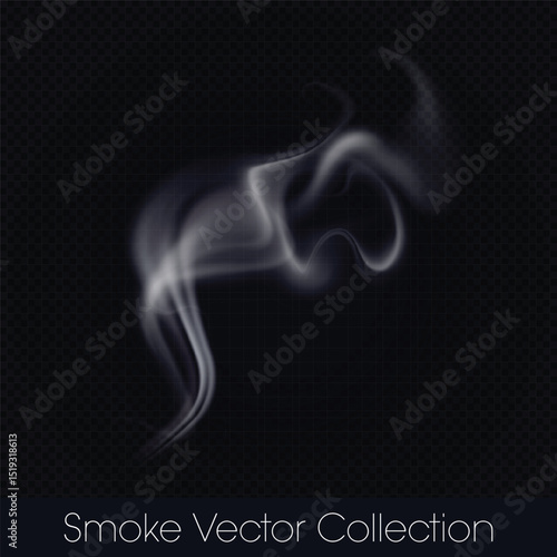 Smoke, smoke of e-cig, mist, fog, gas and Steam isolated Vector (EPS) Illustration on transparent background