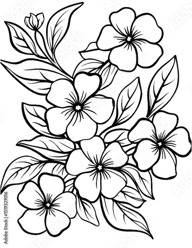 vector drawing of a hand drawn flower