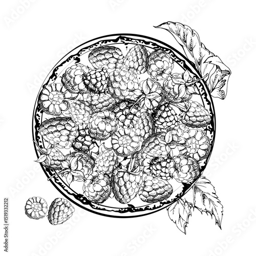 Raspberry served on ceramic dish with leaves on stalks, ripe picked garden berry dewberry cloudberry mulberry harvest. Isolated illustration hand drawn in vector ink. Farmers market grocery preserves