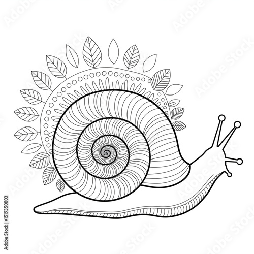 snail vector illustration