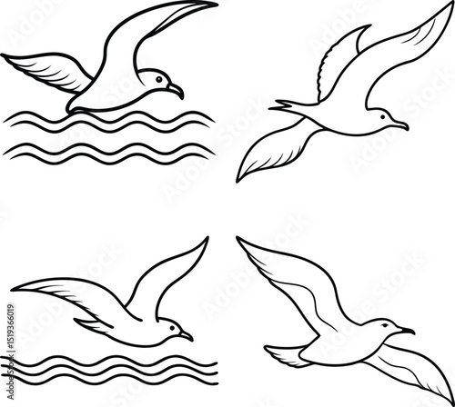 vector illustration of a seagull