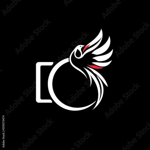 Abstract bird photography logo design