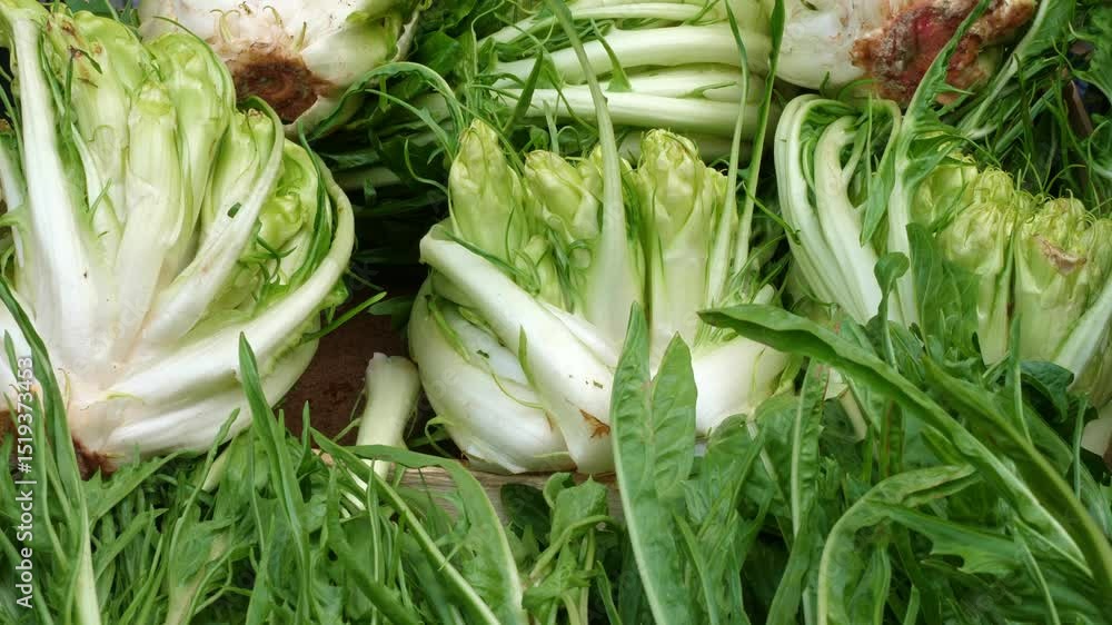Puntarelle in baskets in a farmer's market. Puntarelle for sale at a local market in Italy
Puntarelle in baskets in a farmer's market. Puntarelle for sale at a local market in Italy