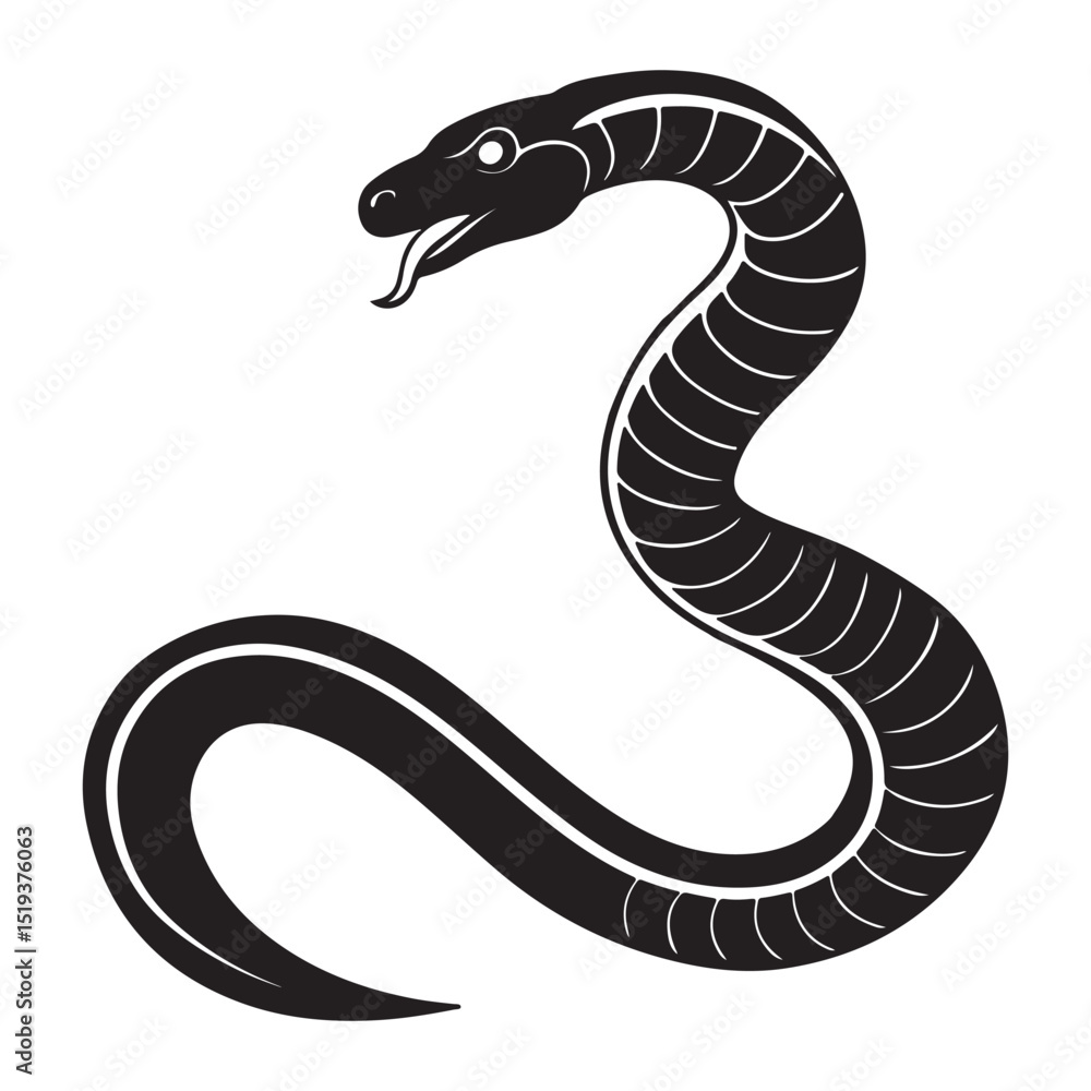 Fototapeta premium black and white snake