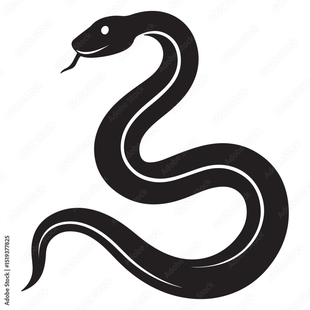 Fototapeta premium black and white snake