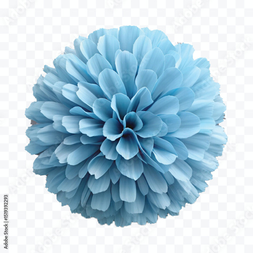 realistic 3d pastel paper pom-pom in different color style isolated on transparent background