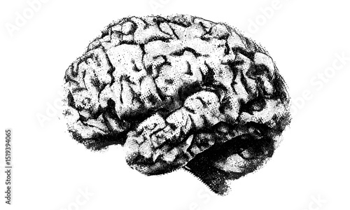 Brain graphic with halftone dots, grunge punk collage, photocopy texture effect, y2k experimental design, retro banner style, vector illustration, vintage texture, edgy creative art.