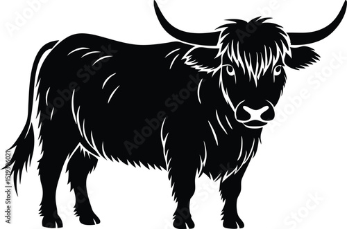 highland cow vector