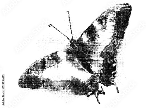 Grunge punk butterfly with halftone stipple effect, vector illustration, dotted retro banner design, grainy photocopy texture, collage style art, underground culture, edgy fashion graphics.