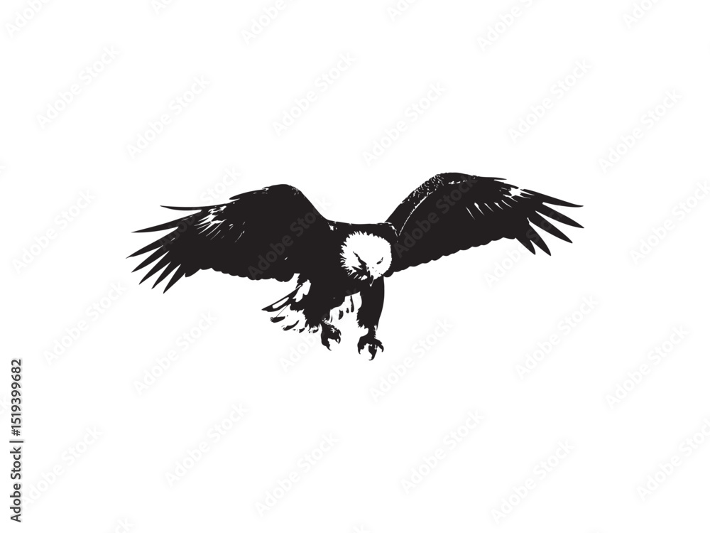 Fototapeta premium eagle in the sky vector art