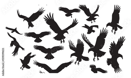 Silhouette collection of majestic eagles in flight depicting freedom and power gracefully