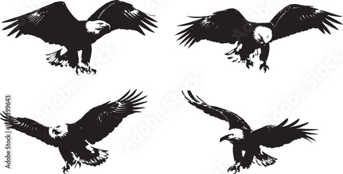 Silhouette collection of majestic eagles in flight 
