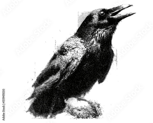 Creepy Halloween raven collage element with vintage stippling photocopy effect, retro vector illustration, psychedelic surreal poster, experimental grunge dotted texture, spooky art.