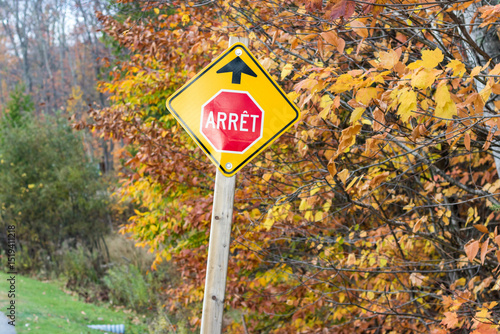 Autumn season, cold weather, orange tree, maple leaf at Mot-Tremblant, Quebec
