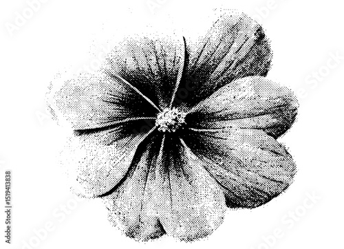 Vector illustration of daisy flower, halftone stipple texture, grunge punk aesthetics, grainy photocopy effect, retro banner design, alternative fashion graphic, artistic floral motif.