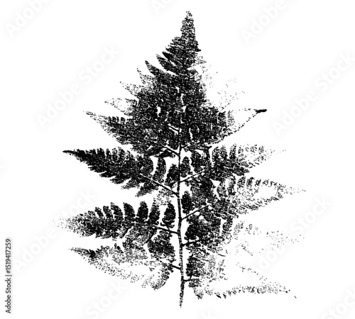 Grunge punk fern with retro photocopy stipple, vector illustration, y2k collage design, vintage halftone brutalist aesthetic, poster banner layout, underground culture, urban graphics.