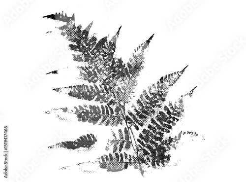 Retro photocopy stipple fern, grunge punk style, y2k collage, vector illustration, vintage halftone brutalist design, poster banner art, edgy fashion, alternative subculture, print design.