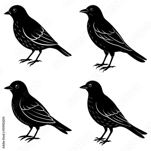 Four silhouette birds in a pattern with detailed feather markings and standing on their feet nicely done