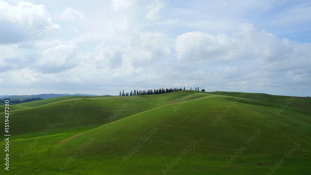 Rolling green hills under a partly cloudy sky with a row of tall, slender trees on the horizon, evoking a calm and peaceful rural landscape Rolling green hills under a partly cloudy sky with a row of tall, slender trees on the horizon, evoking a calm and peaceful rural landscape