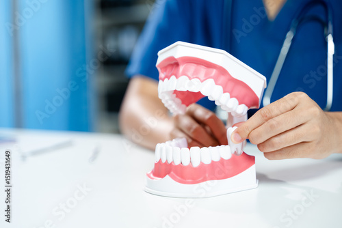 Photos Dentist holding removable tooth in jaw model, demonstrating dental extraction or implant