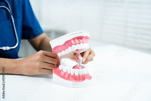 Photos Dentist holding removable tooth in jaw model, demonstrating dental extraction or implant