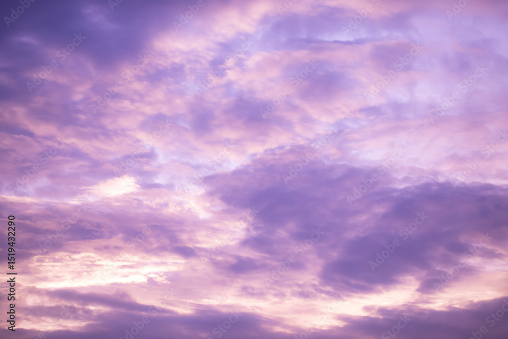 Fototapeta premium Dreamy purple sky background and clouds soft focus, and copy space