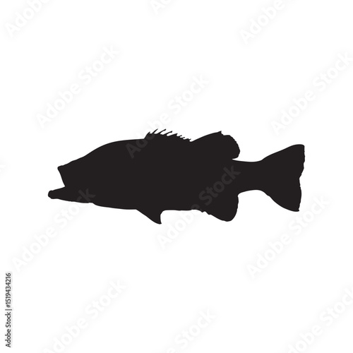 Seabass and Barramundi Fish Silhouette Vector Black Marine Fish Icons Isolated on White Background