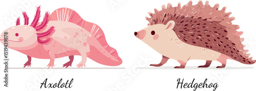 exotic animals hedgehog and axolotl editable vector illustration 