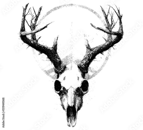 Antler skull, vintage stipple photocopy effect, retro grainy texture, vector illustration for surreal poster, 90s aesthetic, grunge art, psychedelic tattoo, boho style design, unique skull art.