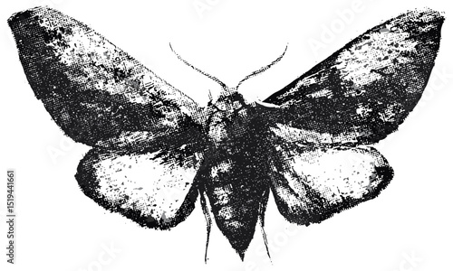 Moth butterfly, retro grainy texture, vintage stipple photocopy effect, surreal tattoo design, collage element, vector illustration for 90s grunge poster, psychedelic art.