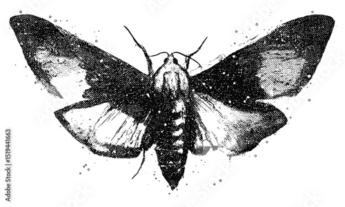 Night butterfly moth, vintage stipple photocopy effect, retro grainy texture, collage element, grunge psychedelic surreal, tattoo, 90s aesthetic, vector illustration for poster.