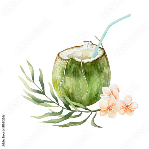 Coconut drink in green fruit with straw, plumeria flowers, palm branch. Watercolor illustration isolated on white. For postcards, invitations, tropical summer banners, menu, labels.