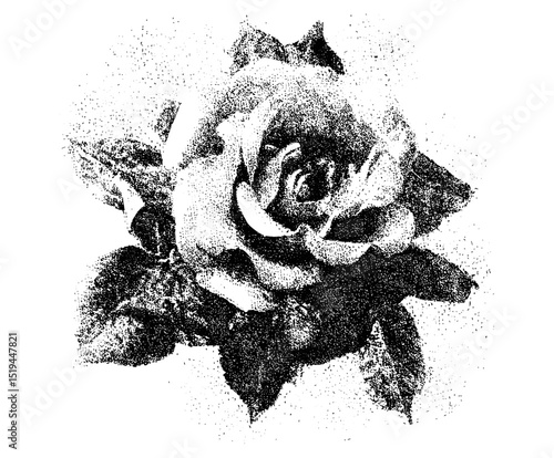 Rose flower vector illustration with halftone stipple effect, grunge punk y2k style, retro banner design, grainy photocopy texture, experimental dotted pattern, vintage collage design.