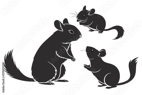 Black and white silhouette illustration of three adorable chinchillas isolated on white background