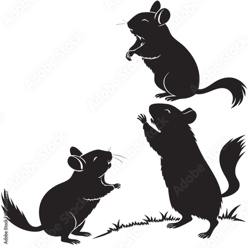 Silhouette vector illustration of three cute chinchillas playing on grass