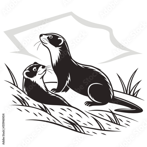 Two ferrets in grass monochrome vector illustration wild animal wildlife design