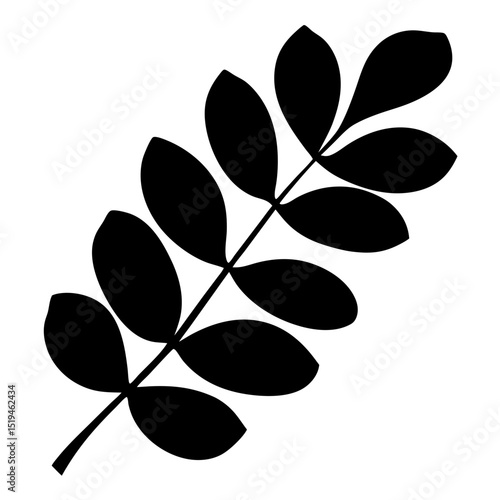 Black silhouette of a branch with leaves isolated on white background