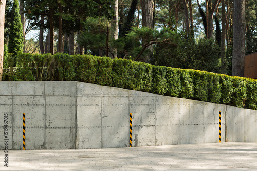 Modern concrete retaining wall with trimmed green hedge and safety posts stands in a pine forest, illustrating landscape architecture and urban safety.