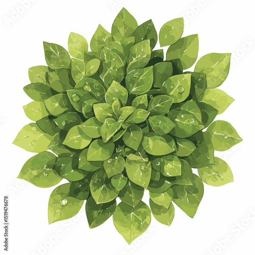 Aerial View of Lush Green Shrubbery Top-Down Illustration of Foliage