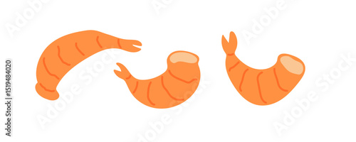 Different forms of shrimp displayed in a colorful flat design style