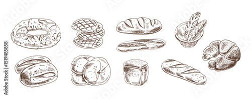 Hand drawn vintage sketch of assorted bakery bread collection in monochrome version, brown ink engraving style