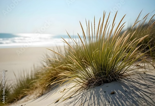 Fototapeta Naklejka Na Ścianę i Meble -  dune grass on sandy beach with ocean waves and blue sky background