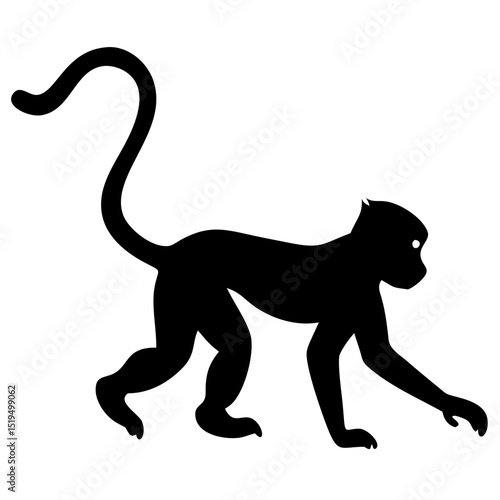 Monkey silhouette walking on a surface during daytime in a natural environment