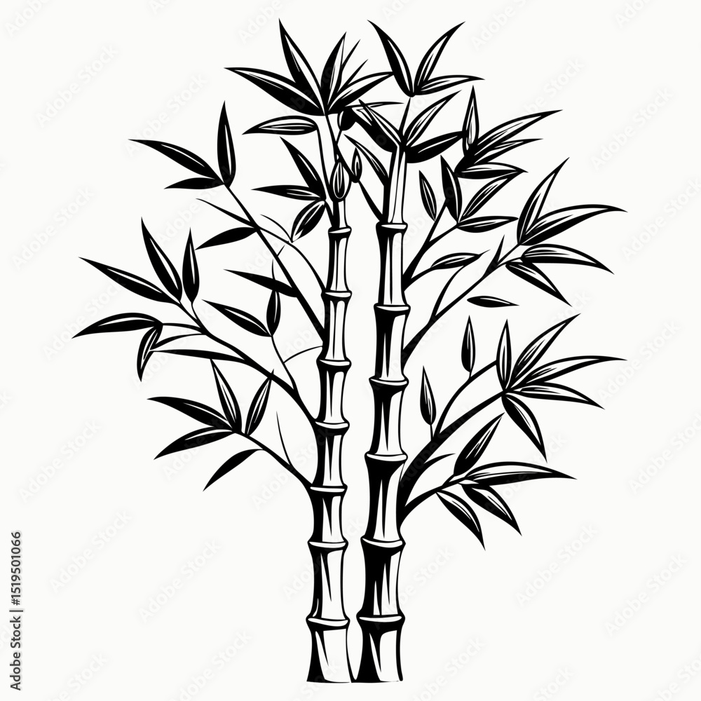 Fototapeta premium Bamboo tree line art