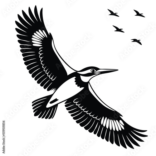 Elegant black and white kingfisher flying alongside silhouette birds on a clear sky