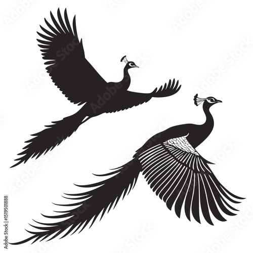 Elegant flying peacock birds black silhouette on white background illustration