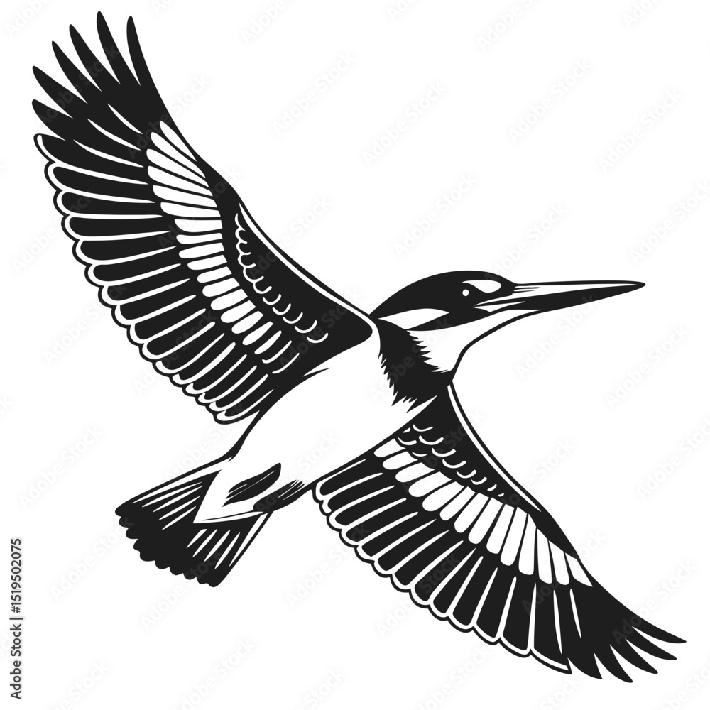Fototapeta premium Elegant monochrome kingfisher vector illustration in flight bird wildlife icon