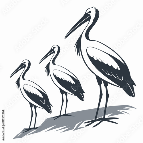 Elegant stork family illustration three birds stylized in minimalist monochrome