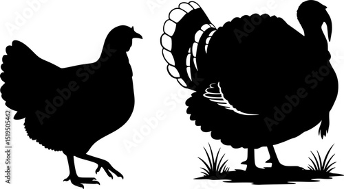 minimal turkey chicken vector silhouette, black color silhouette
