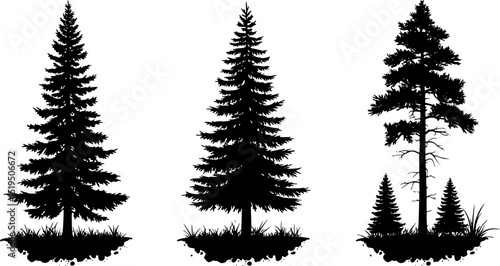 different type of Vintage forest pine trees with ground soil silhouette
